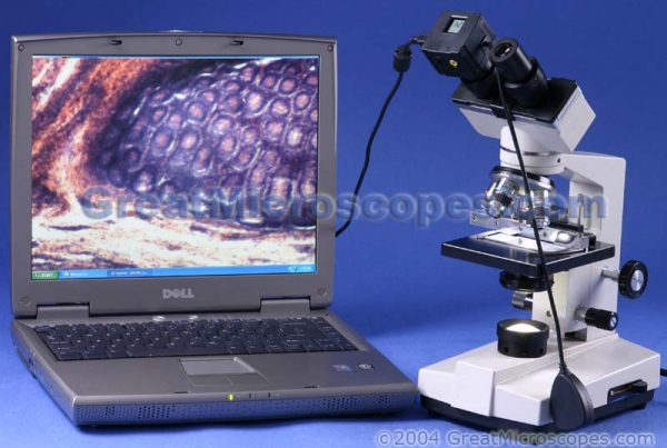 USB computer connected camera not included. Computer/Laptop not included. Shape of microscope camera may vary from what is shown.