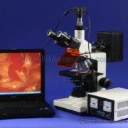 Flourescence Microscopes