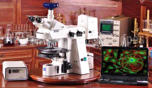 Zeiss Model AxioPlan 2ie MAN