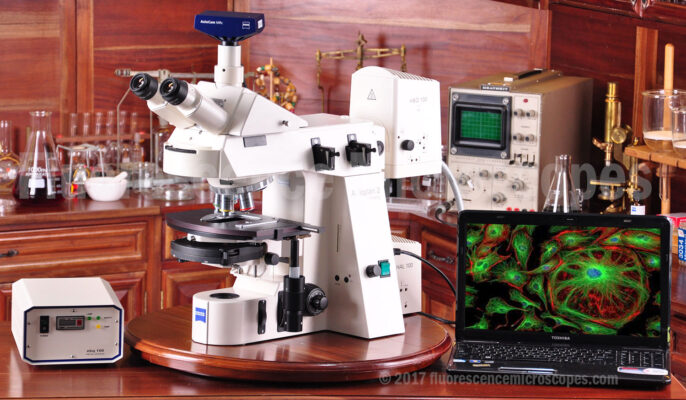 Zeiss Model AxioPlan 2ie MAN