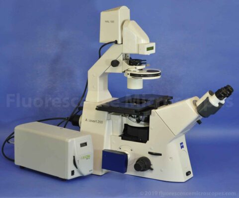 Inverted Fluorescence Phase Contrast